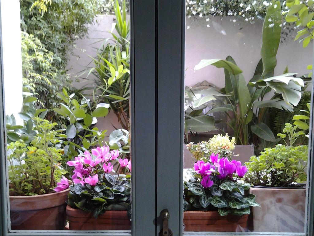 Pensjonat Casa Les Olives - Adults Only Benigembla Zewnętrze zdjęcie